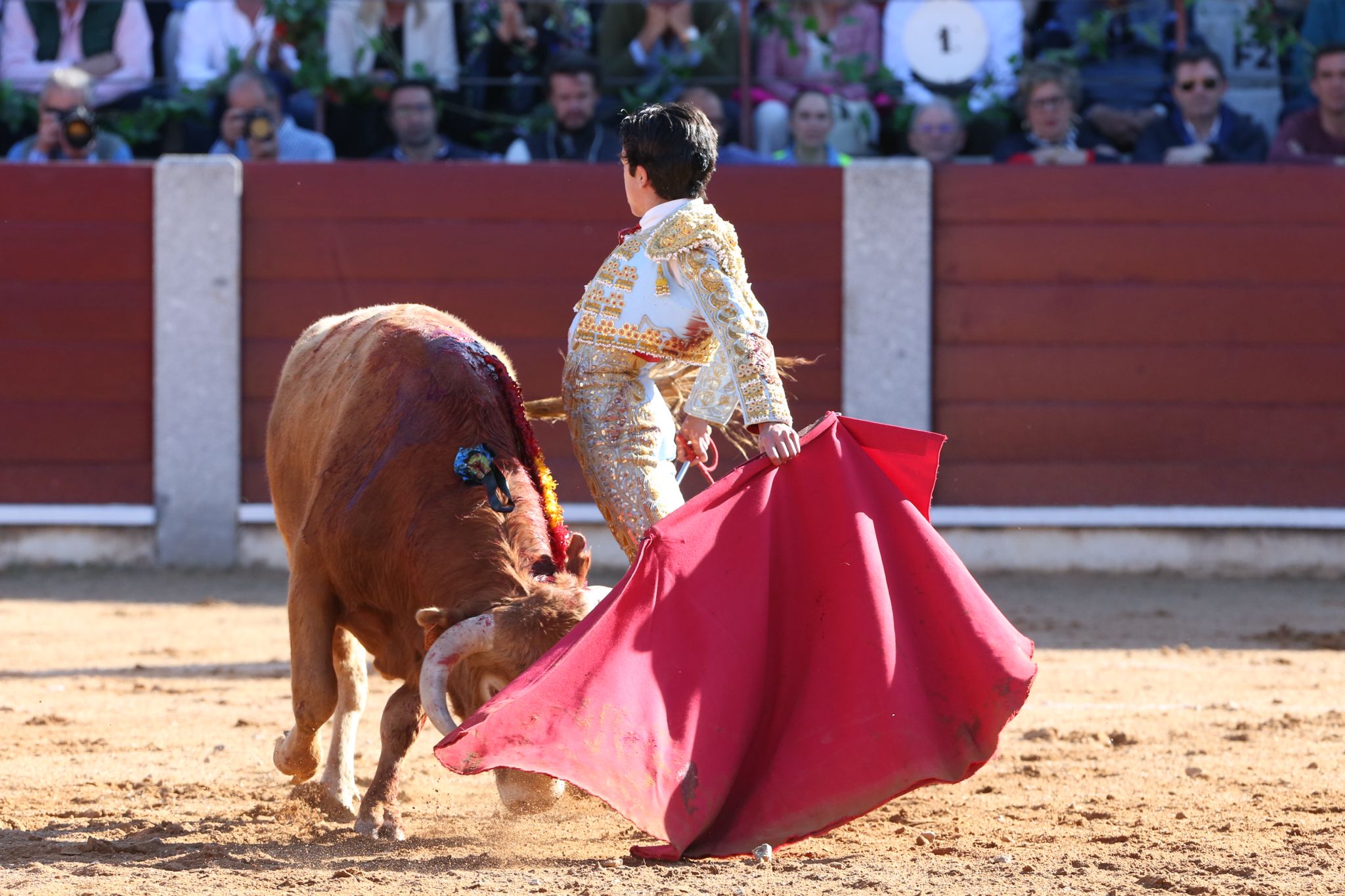 Puerta grande para Marco Pérez en una ilusionante tarde en Guijuelo