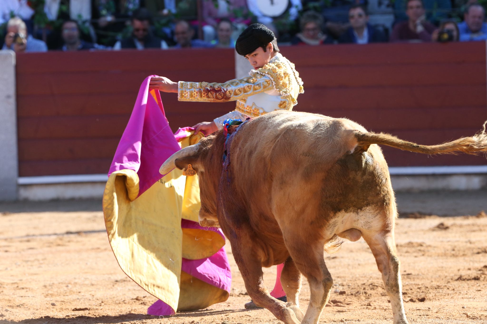 Puerta grande para Marco Pérez en una ilusionante tarde en Guijuelo