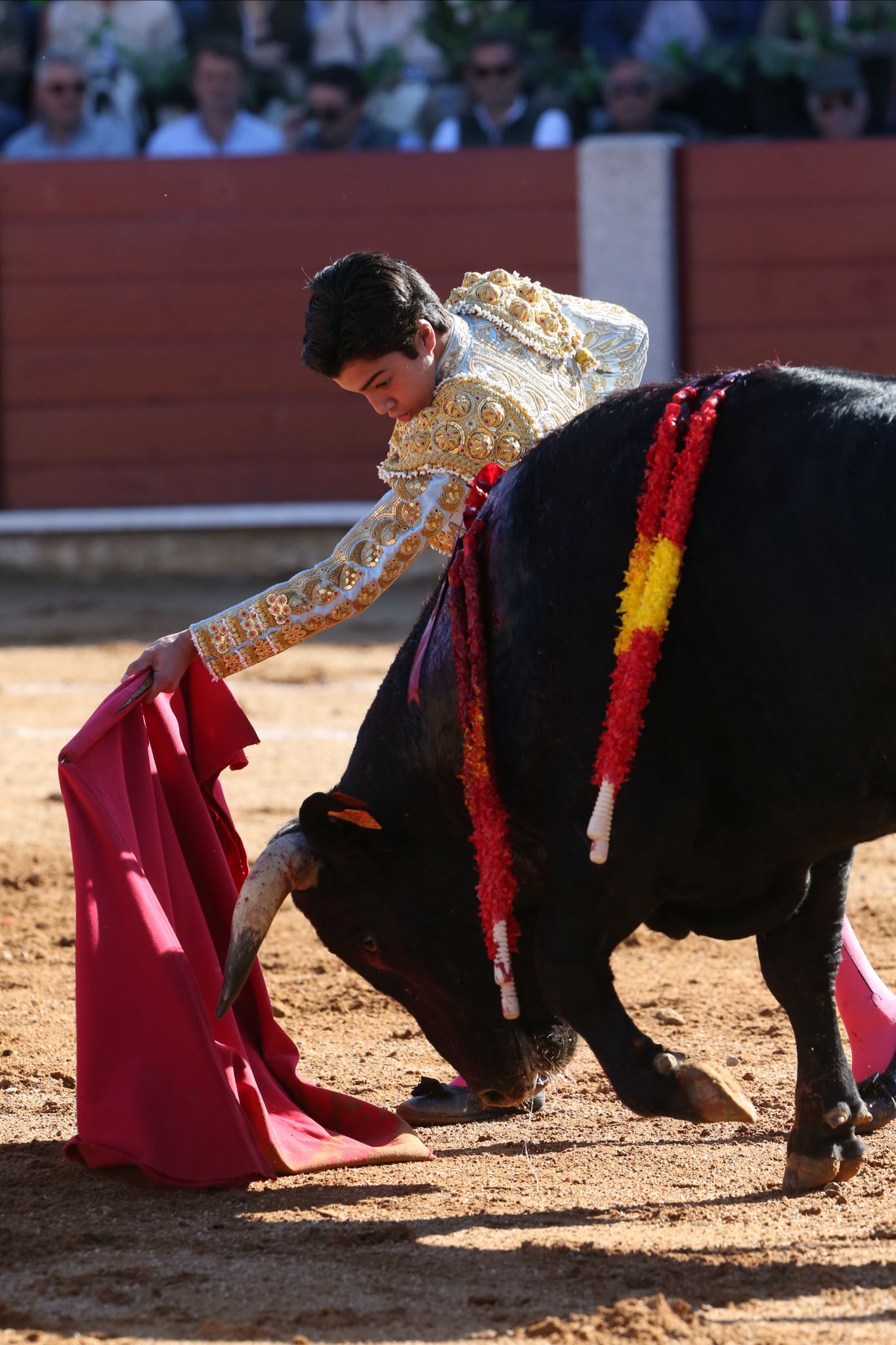 Puerta grande para Marco Pérez en una ilusionante tarde en Guijuelo