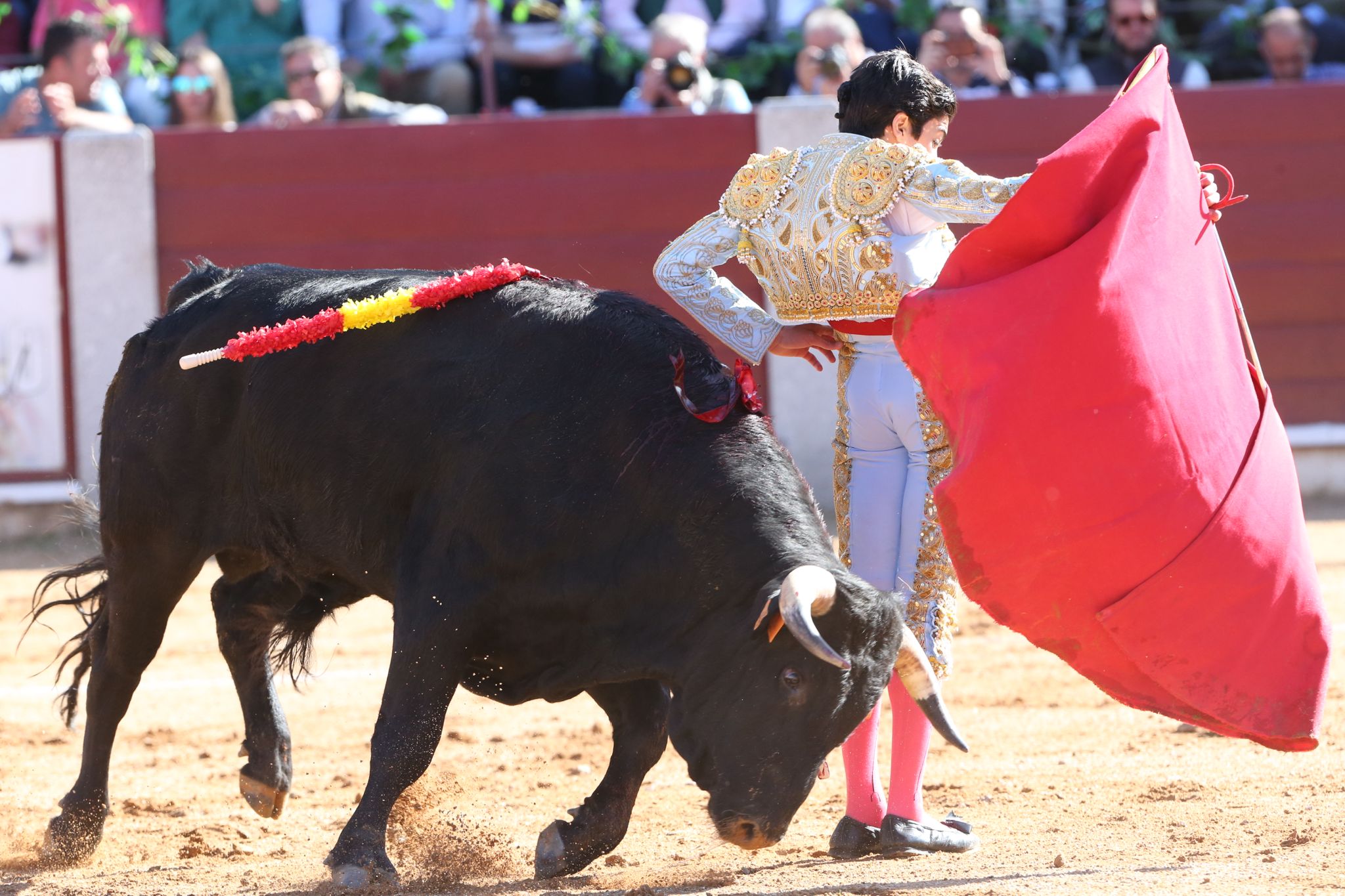 Puerta grande para Marco Pérez en una ilusionante tarde en Guijuelo