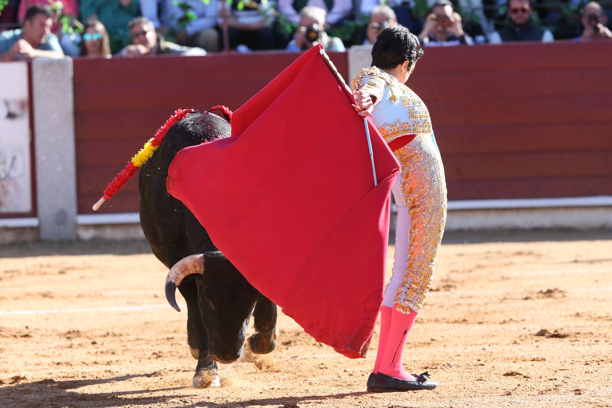 Puerta grande para Marco Pérez en una ilusionante tarde en Guijuelo