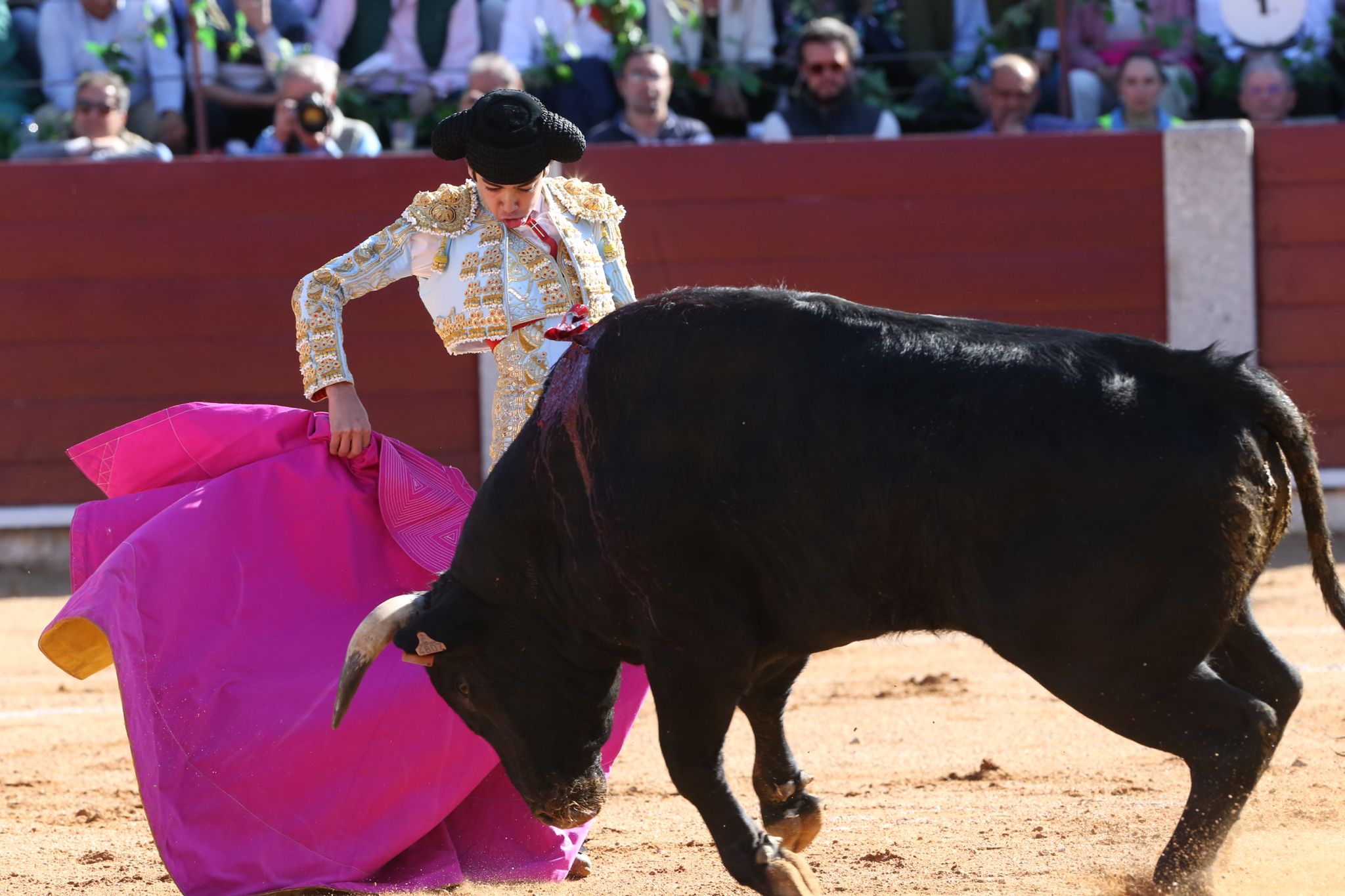 Puerta grande para Marco Pérez en una ilusionante tarde en Guijuelo
