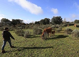 Gandería extensiva regenerativa.