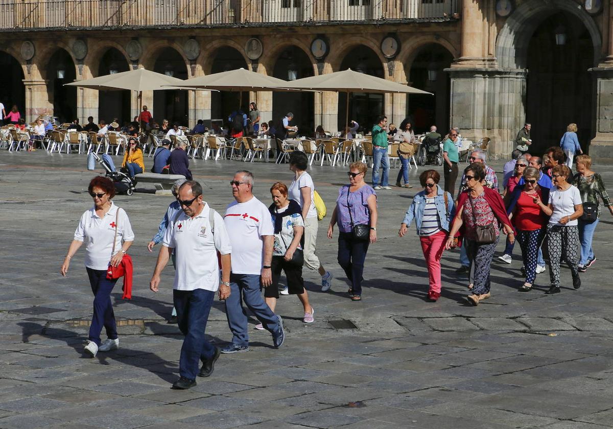 Un grupo de participantes en el programa 'Paseos por Salamanca'.