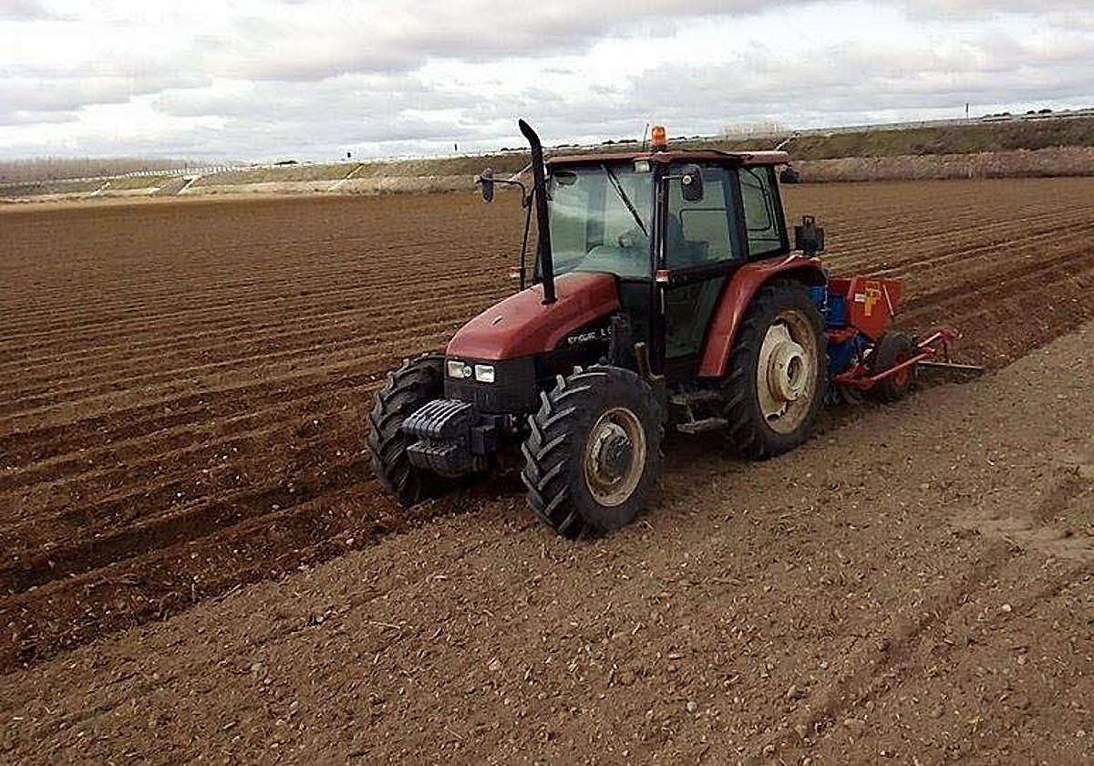 Foto de Archivo de una zona de cultivo en Encinas de Abajo