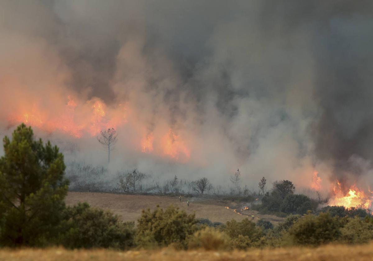Foto de archivo del incendio de Monsagro