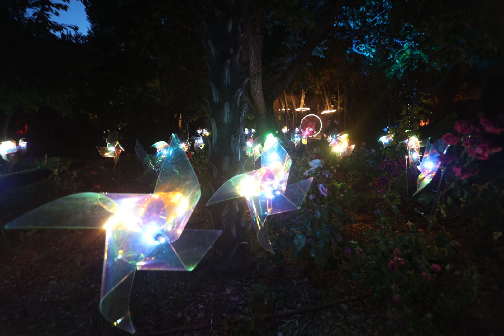 Alicia en el País de las Maravillas llega a Salamanca