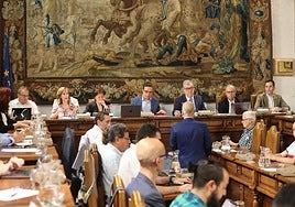 Un momento del Consejo de Gobierno.