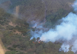 Incendio en San Esteban del Valle, Ávila.