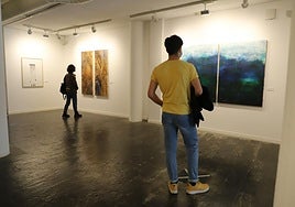 Una exposición en la sala de La Salina de la Diputación.