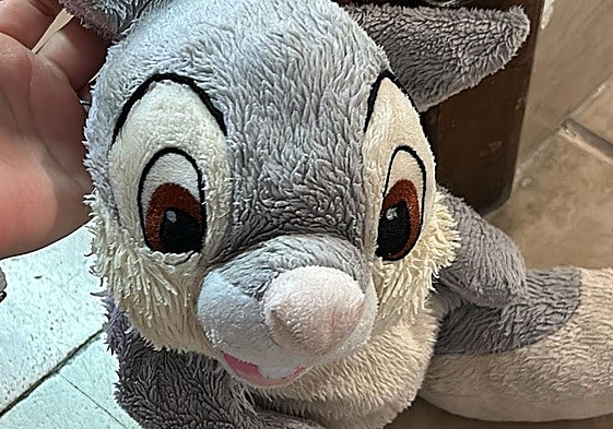 El peluche perdido por Salamanca.