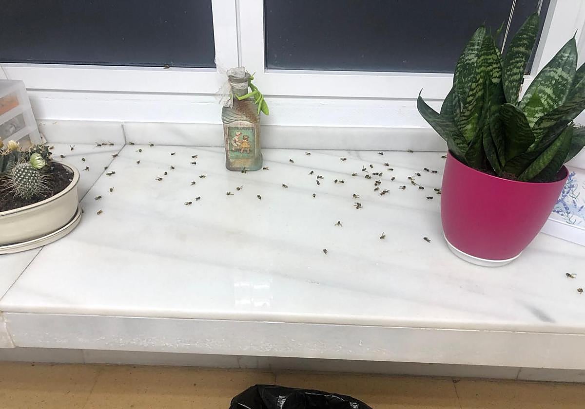 Condiciones en el Centro de Salud de Garrido