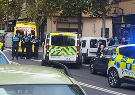 Lugar del atropello, con la ambulancia y policías locales en el Paseo del Rollo.