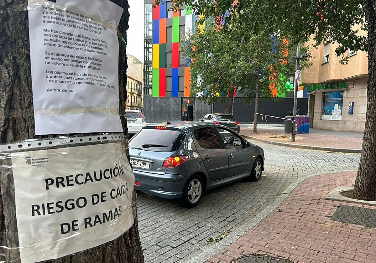 Los vecinos se movilizan contra la tala de los árboles y la &#039;nueva&#039; plaza del Oeste