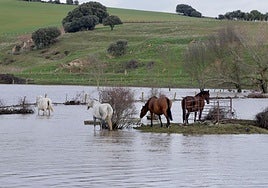 Inundaciones en enero de 2024 que anegaron parte de la provincia.