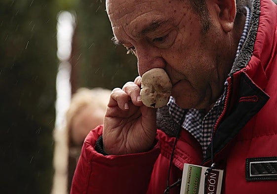 Una persona huele una seta.