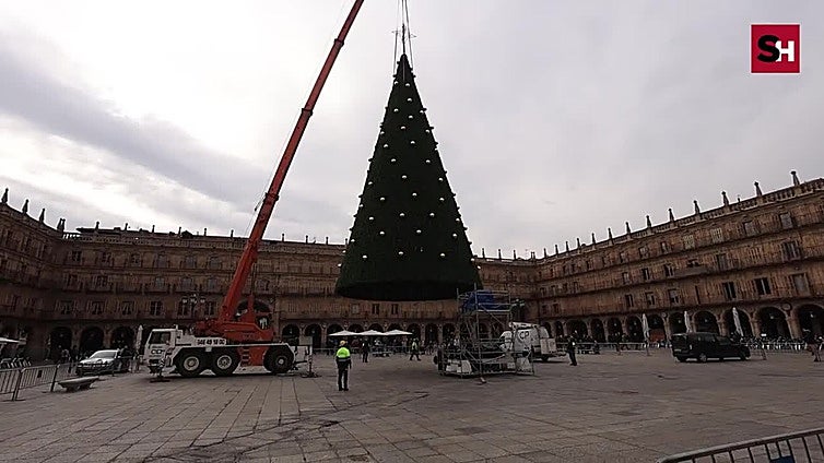 Así 'vuela' en Salamanca el gran árbol de Navidad de la Plaza Mayor