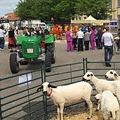 El proyecto que ayuda a vender casas, tierras, explotaciones y negocios en pueblos de Salamanca