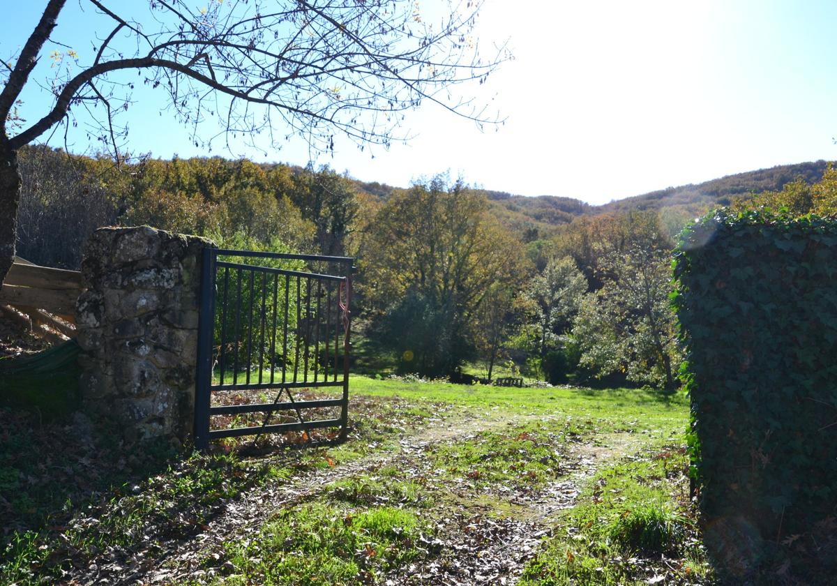 La finca idílica en un pueblo de Salamanca que se vende con manantial propio