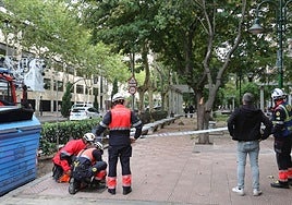 Bomberos de Salamanca acordonan un árbol.