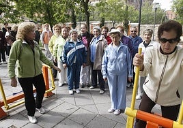 Un grupo de personas mayores realizan actividades físicas en la calle.