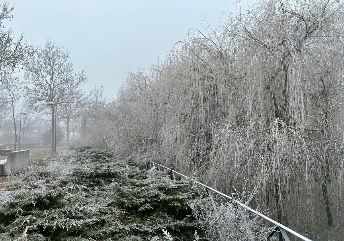 Salamanca despierta bajo una capa blanca de niebla, frío y nieve