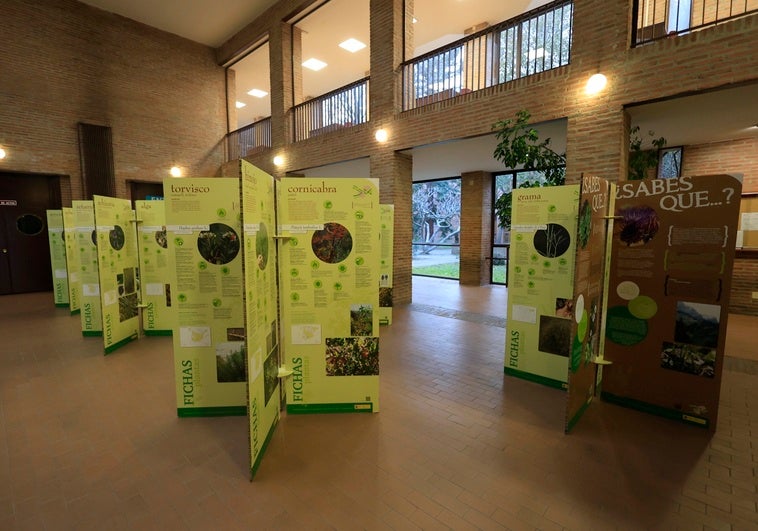 La Exposición del Inventario Español de los Conocimientos Tradicionales relativos a la Biodiversidad.