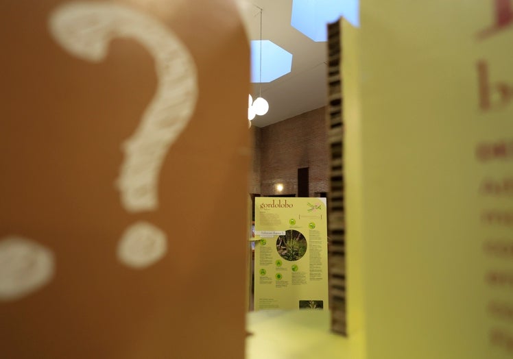 Imágenes de la exposición durante su estancia en la Facultad de Farmacia, en febrero.