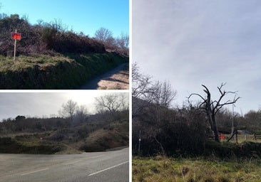 Las seis fincas rústicas de un pueblo de Salamanca a la venta para colmenas y pastos