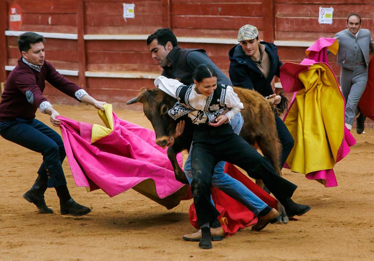 Imagen de Galeria 