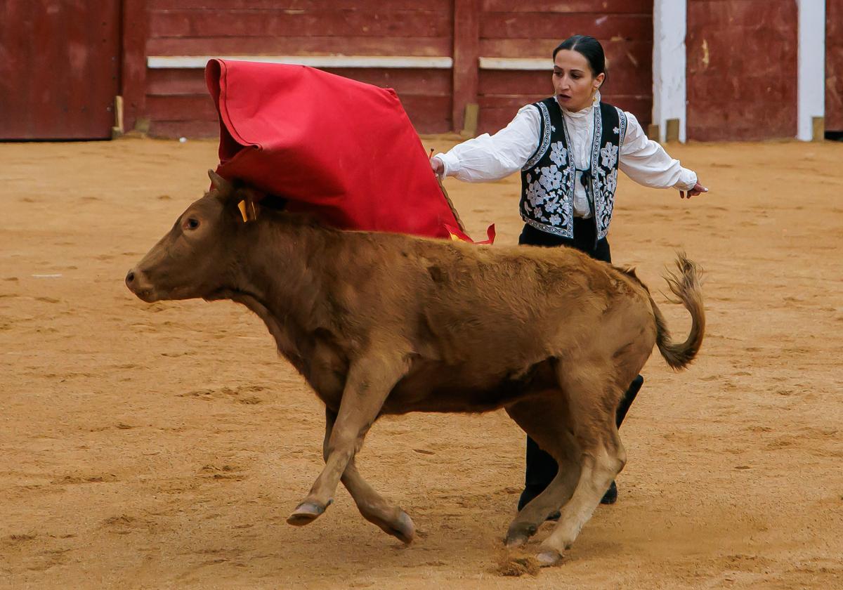 Imagen de Galeria 