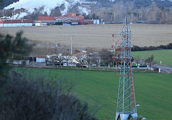 Una parte de la parcela en la que está prevista la instalación de la planta de hidrógeno verde, en Doñinos.