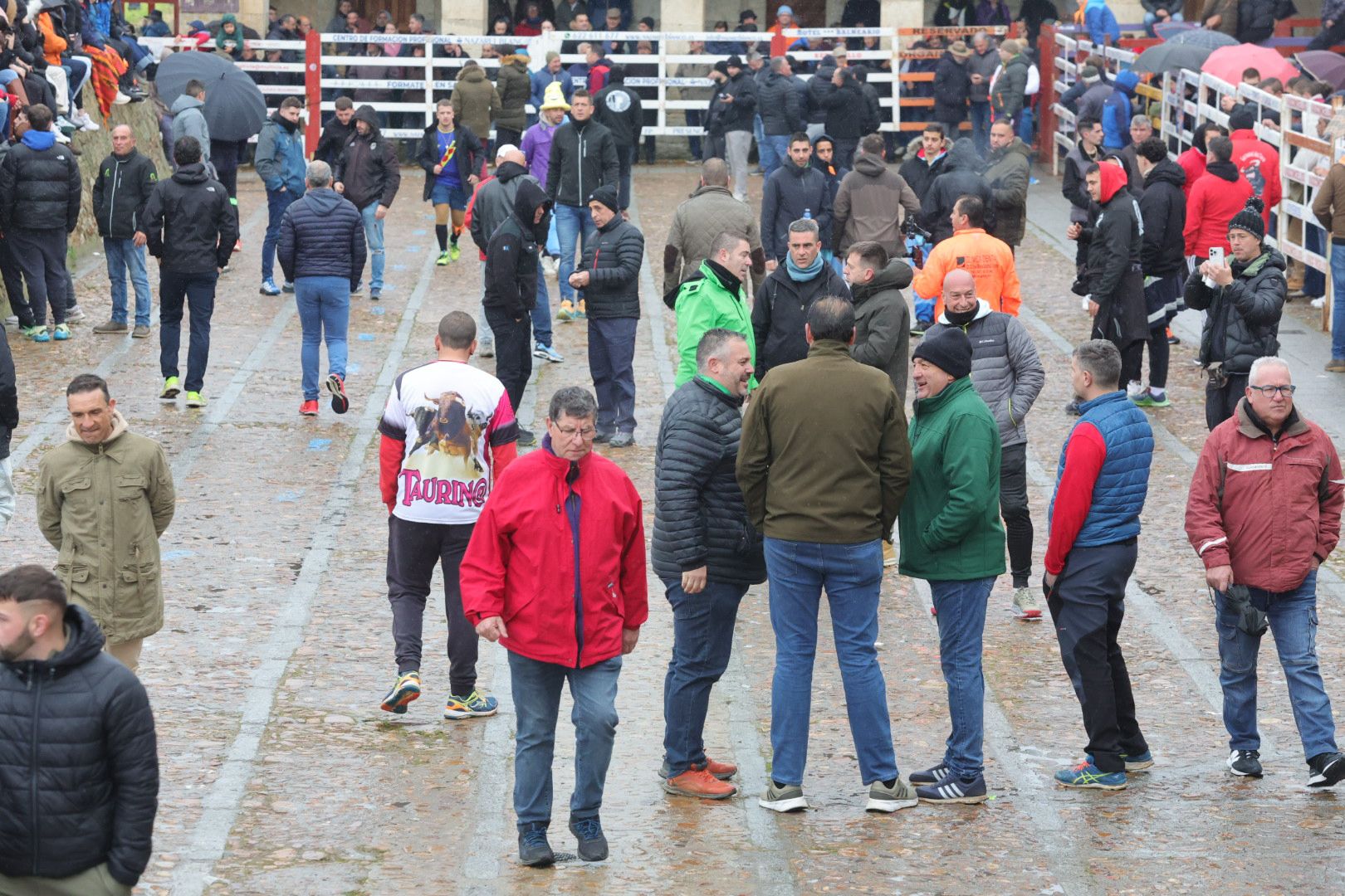 Un encierro pasado por agua en el Carnaval del Toro de Ciudad Rodrigo