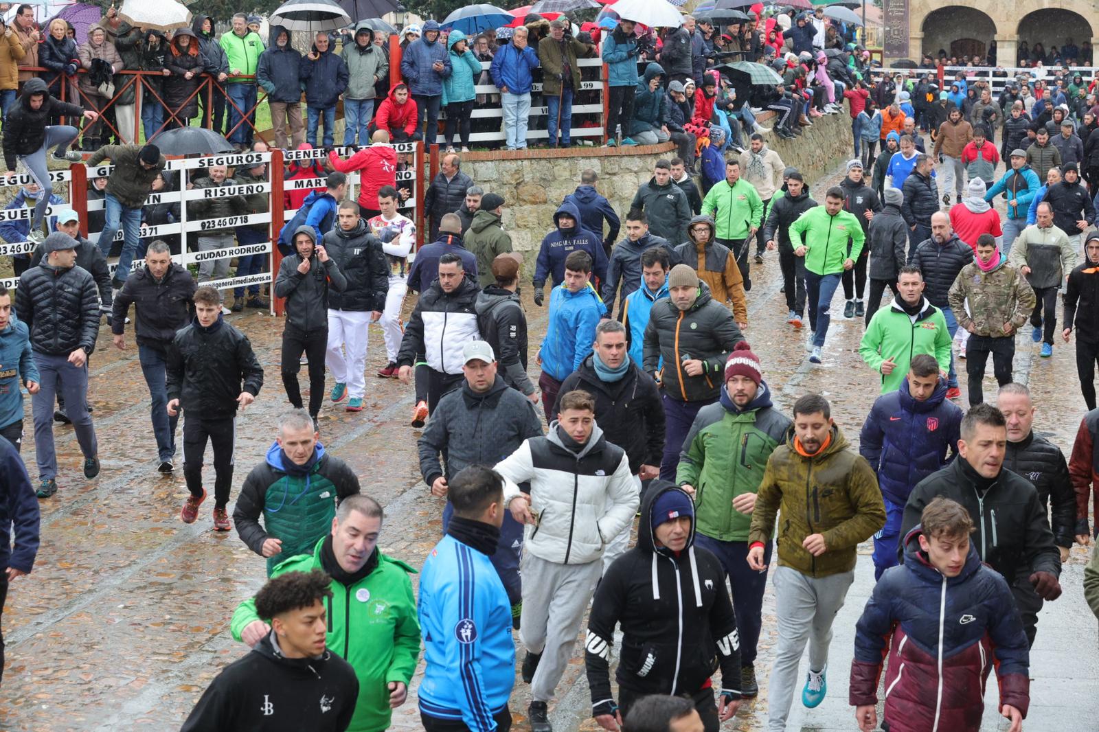 Un encierro pasado por agua en el Carnaval del Toro de Ciudad Rodrigo