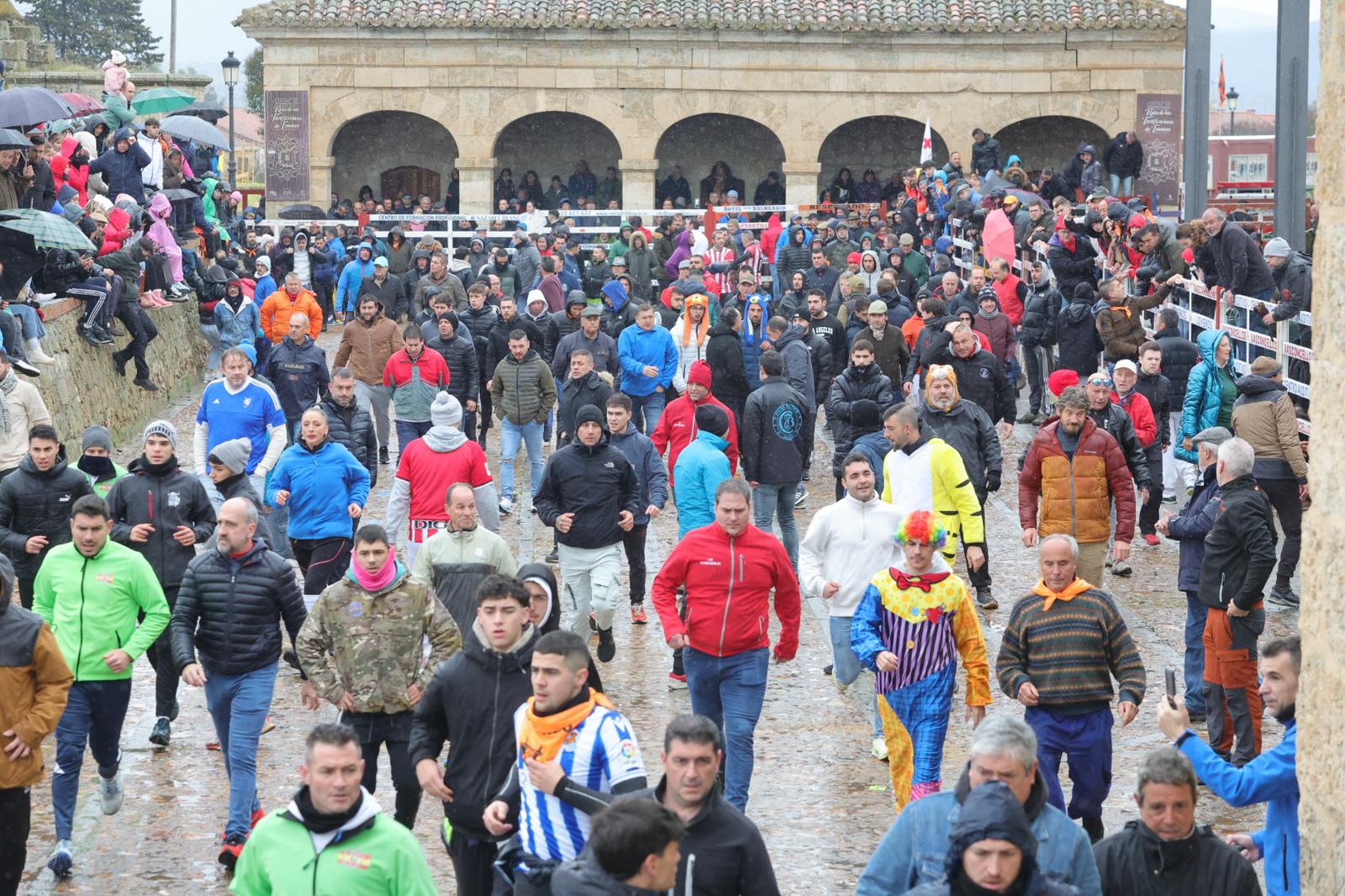 Un encierro pasado por agua en el Carnaval del Toro de Ciudad Rodrigo