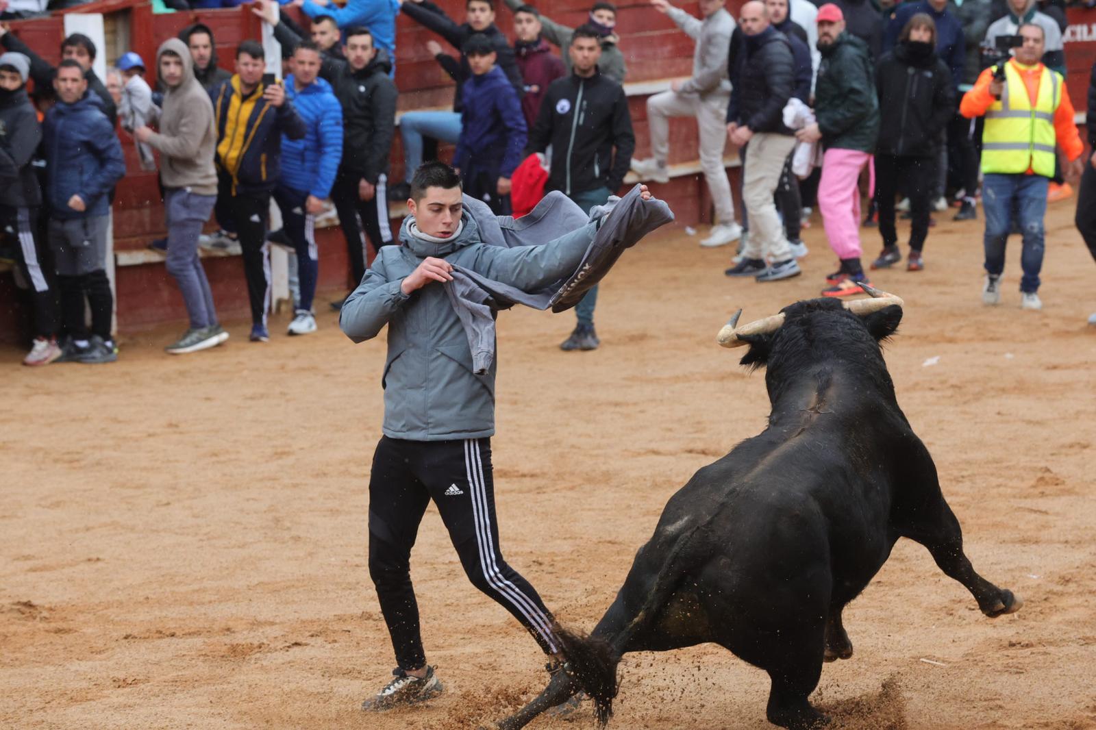 Un encierro pasado por agua en el Carnaval del Toro de Ciudad Rodrigo