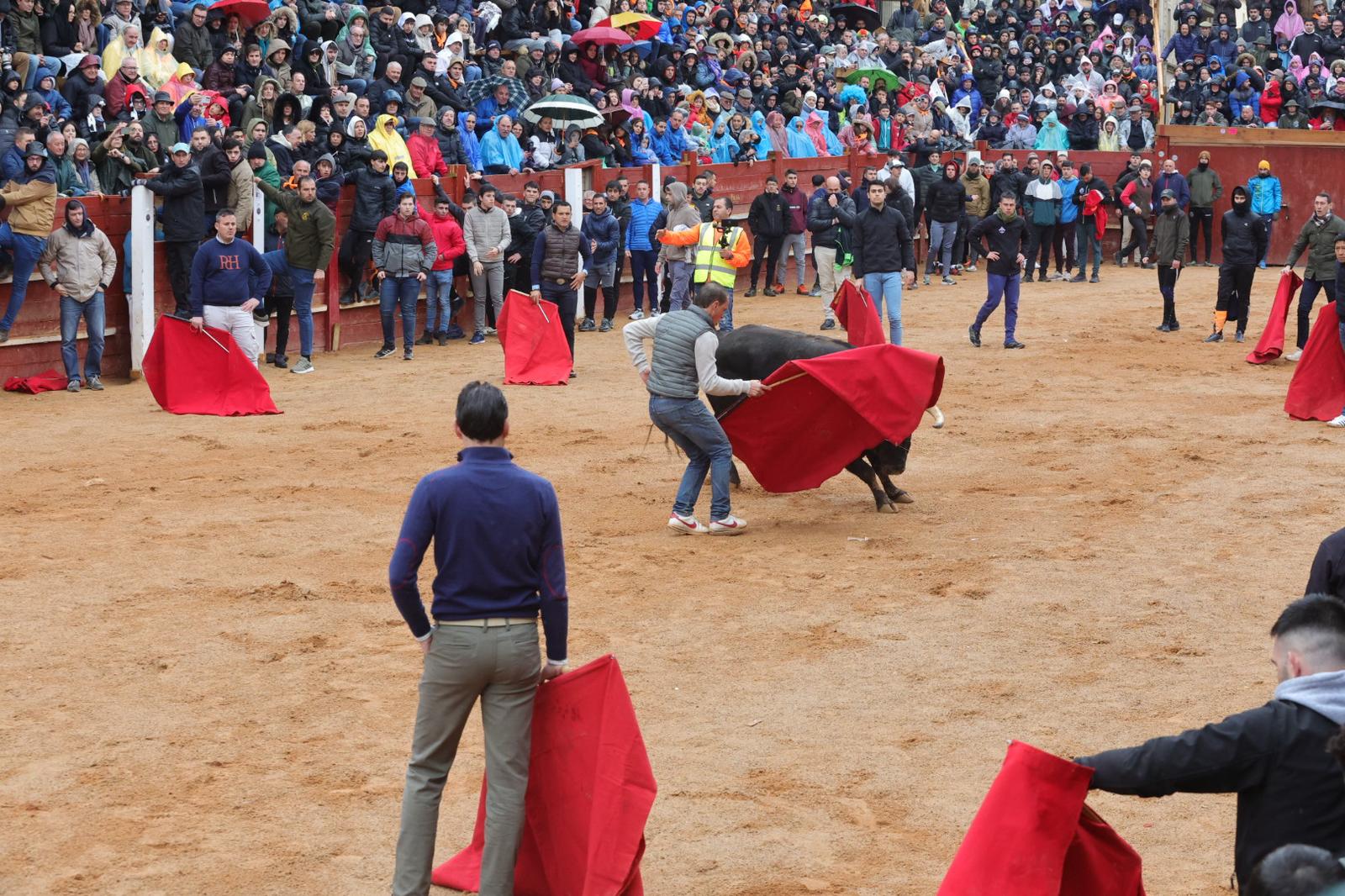 Un encierro pasado por agua en el Carnaval del Toro de Ciudad Rodrigo