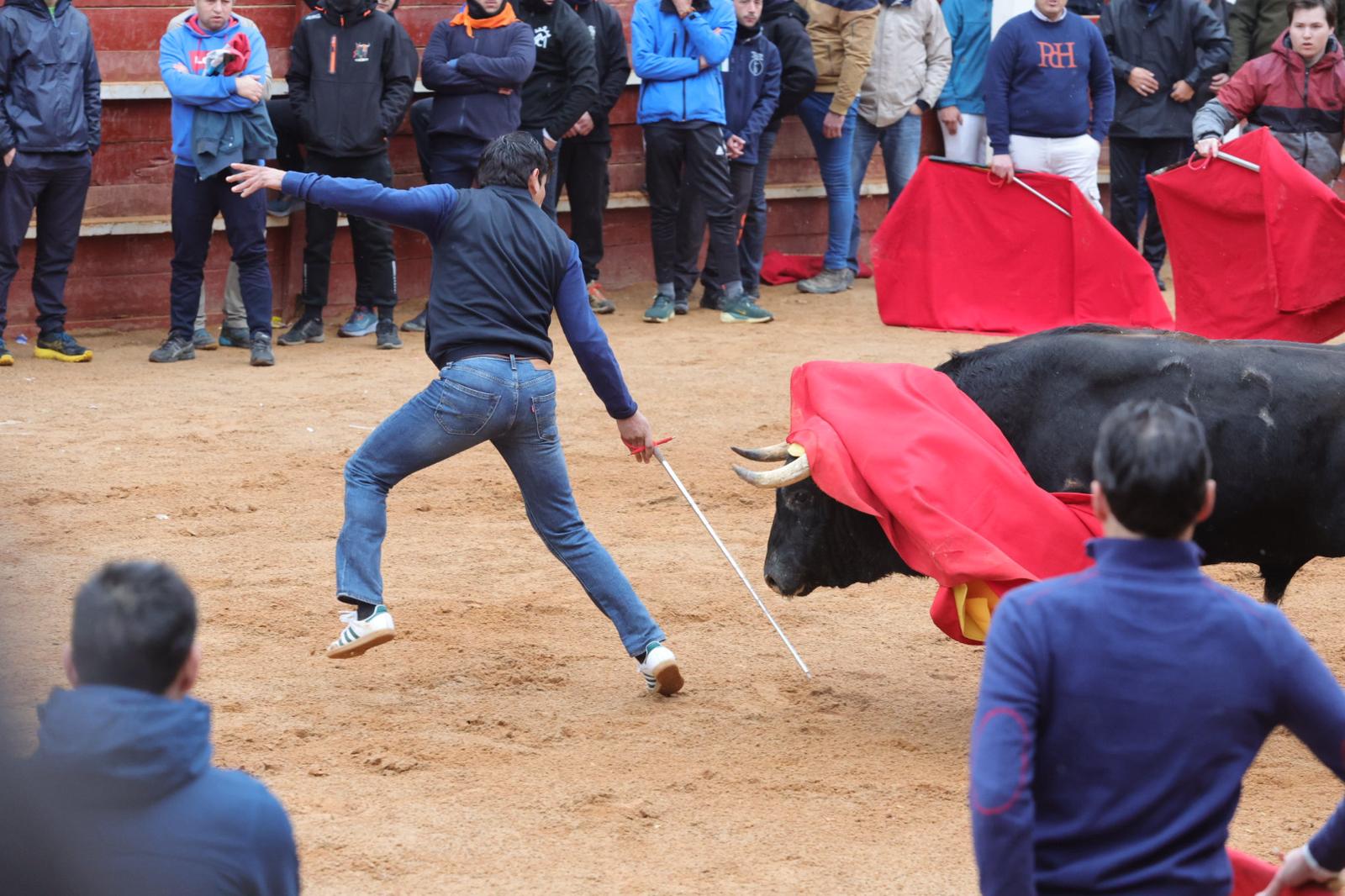 Un encierro pasado por agua en el Carnaval del Toro de Ciudad Rodrigo