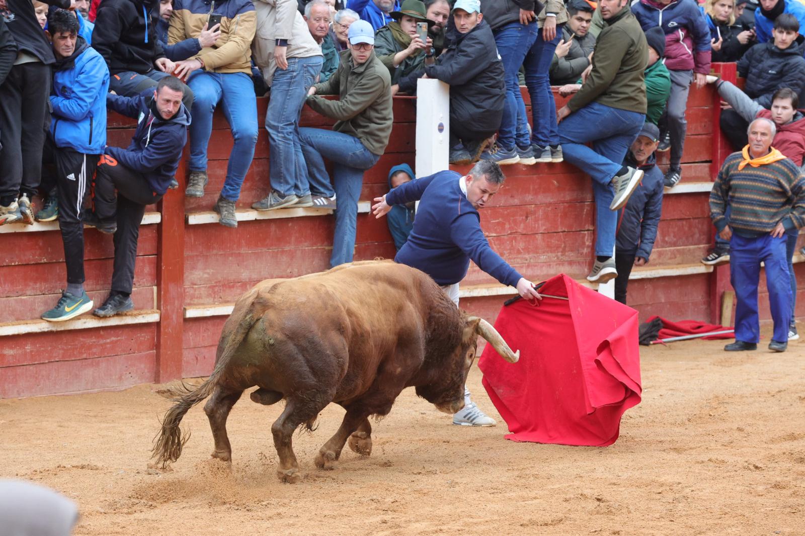 Un encierro pasado por agua en el Carnaval del Toro de Ciudad Rodrigo
