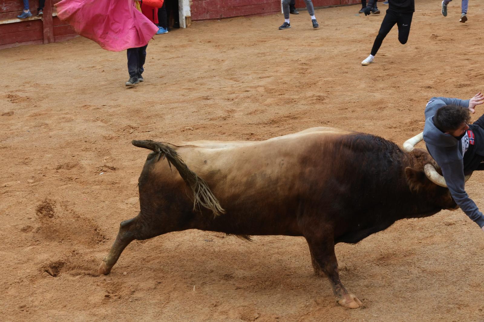 Un encierro pasado por agua en el Carnaval del Toro de Ciudad Rodrigo