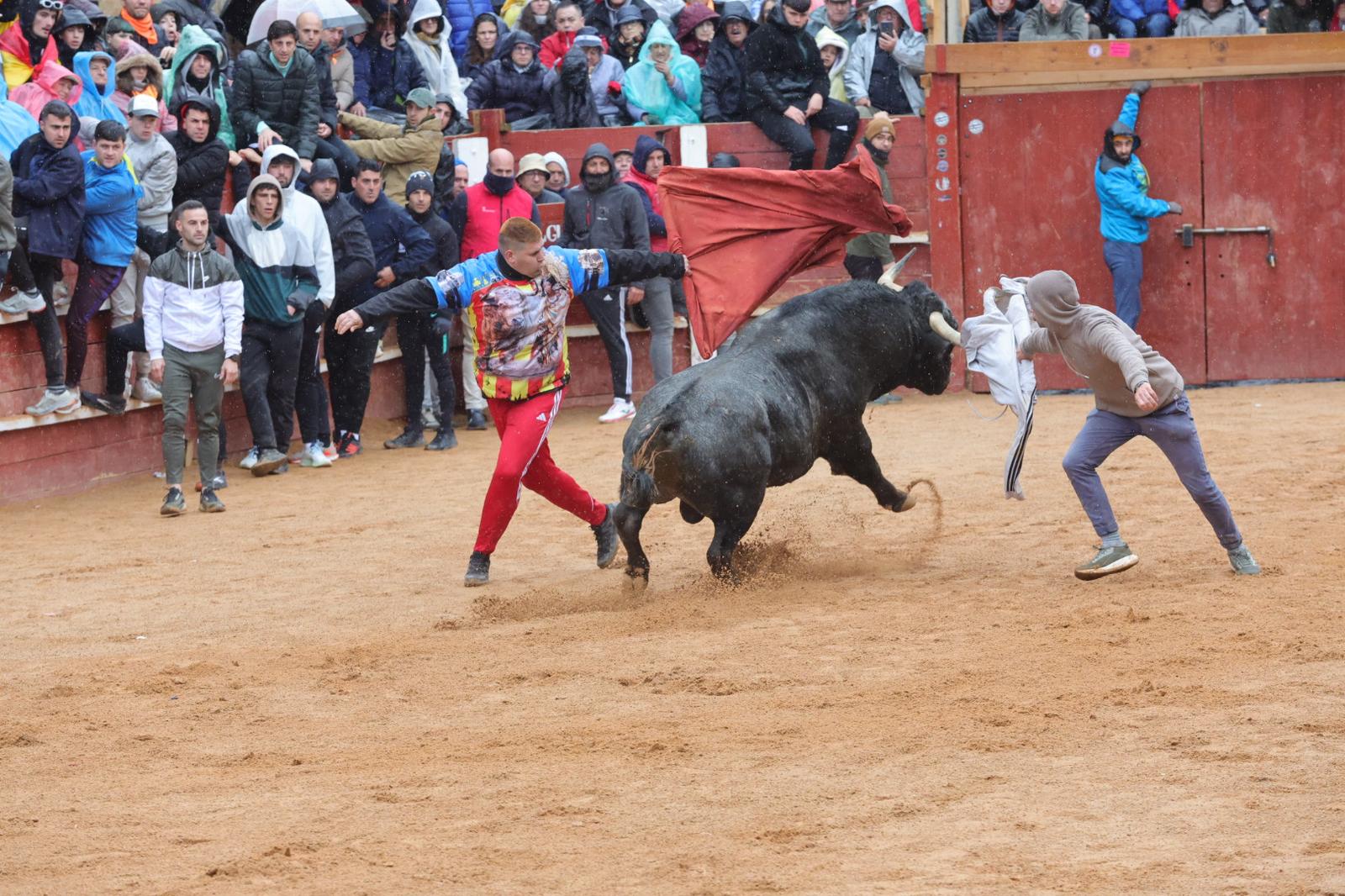 Un encierro pasado por agua en el Carnaval del Toro de Ciudad Rodrigo
