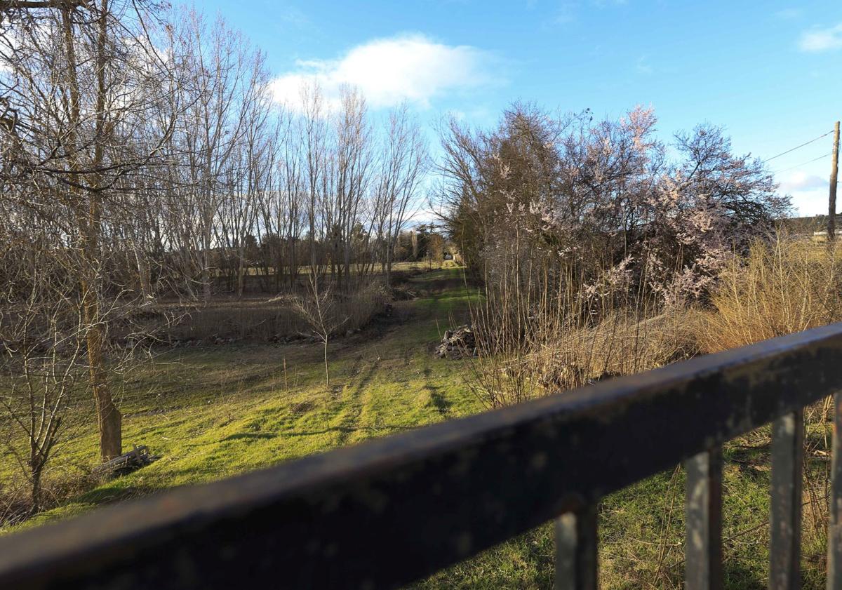 Imagem principal - o Salamanca Wildlife Recovery Center é renovado: terá um novo edifício