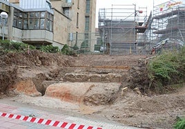 Parte de los restos encontrados cerca de la acera.