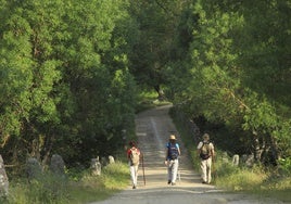 Salamanca, la riqueza natural de una provincia mágica