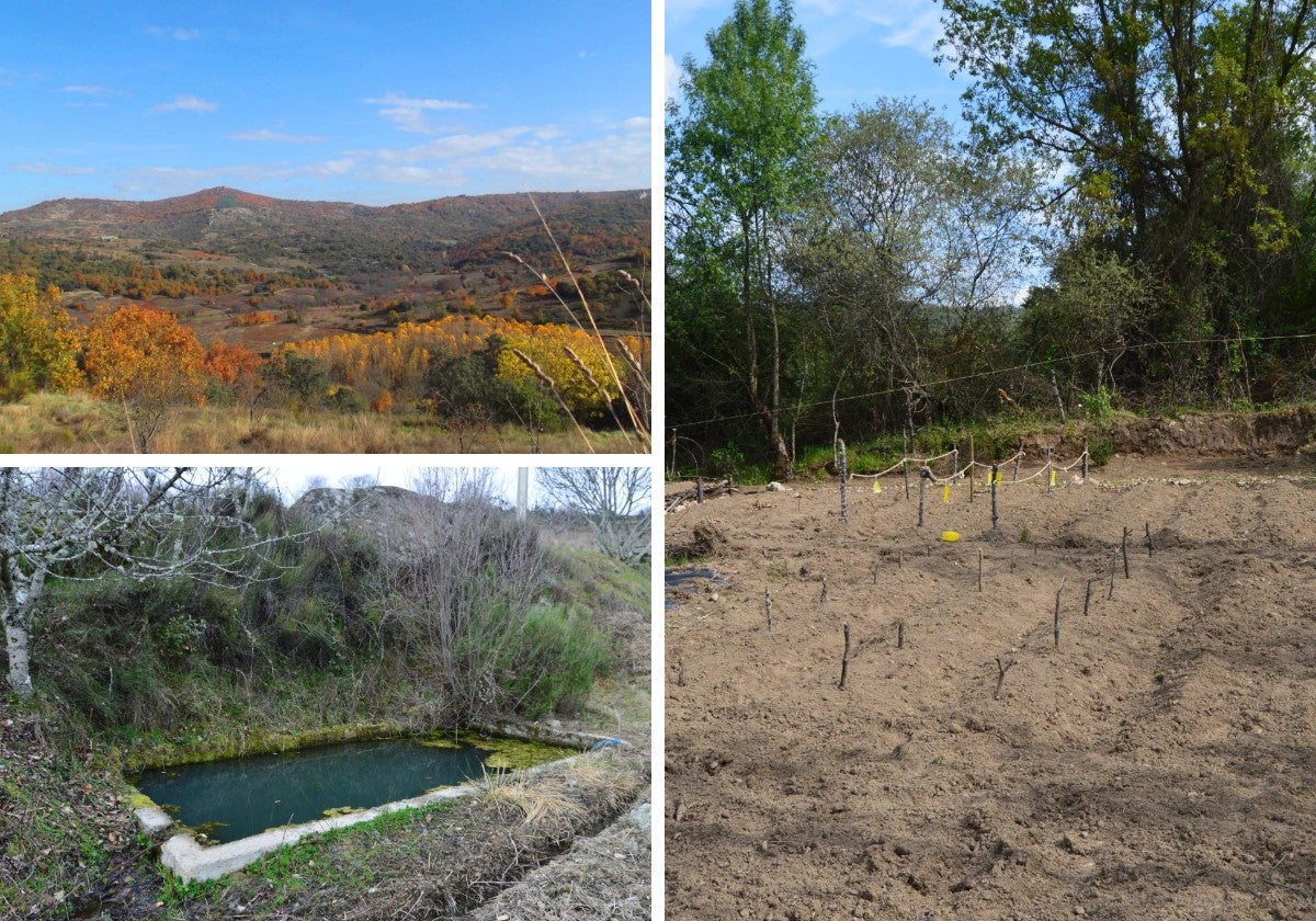 La finca en venta en un pueblo de Salamanca que es un edén oculto de ...