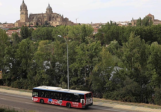 Un autobús metropolitano entre en la capital salmantina en una imagen de archivo.