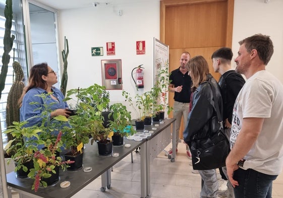 Varios alumnos de Biología se interesan por los cultivos emergentes en la USAL.