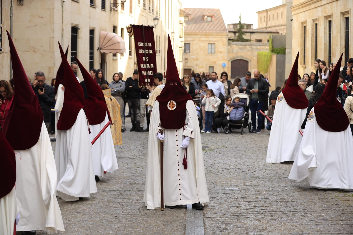 Jesús Despojado cierra el Domingo de Ramos en Salamanca