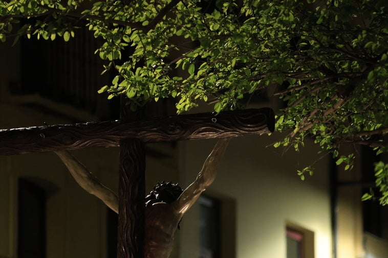 El paso golpea un árbol.