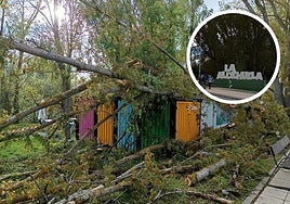 El ejemplar caído y ya retirado y la zona perimetrada en La Aldehuela.